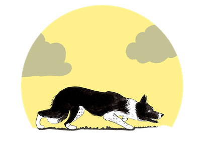 Luna Tale